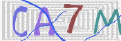 Immagine CAPTCHA