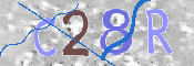Immagine CAPTCHA